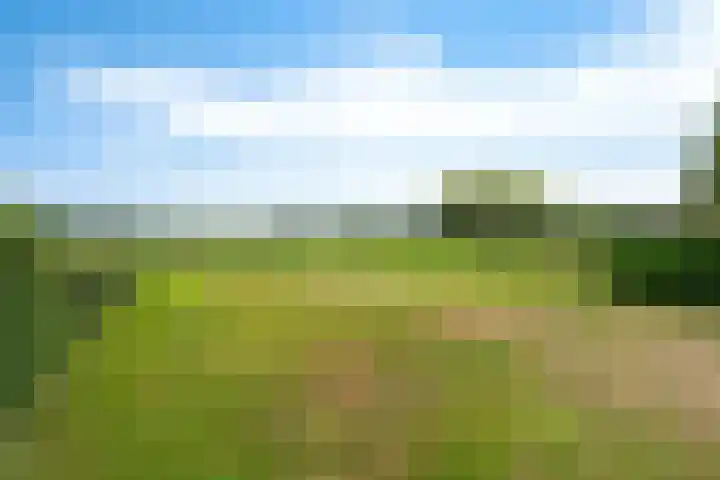 Kruisstraat 15 Zweeloo thumbnail 47