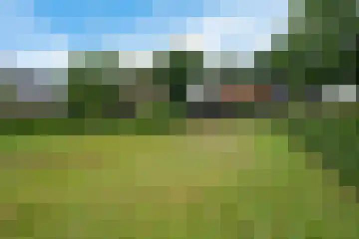 Kruisstraat 15 Zweeloo thumbnail 48