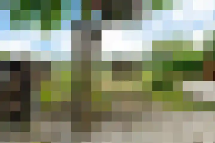 Kruisstraat 15 Zweeloo thumbnail 49