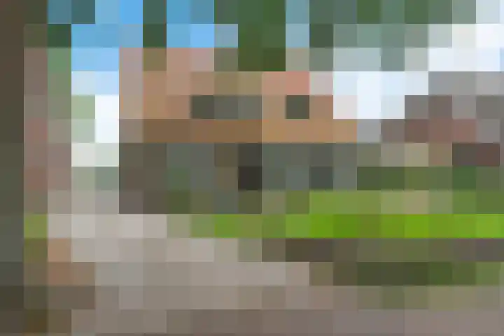 Kruisstraat 15 Zweeloo thumbnail 5