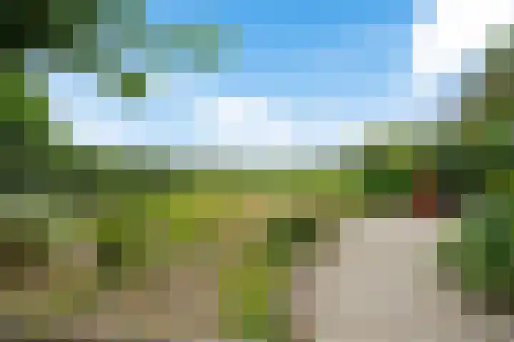 Kruisstraat 15 Zweeloo thumbnail 50