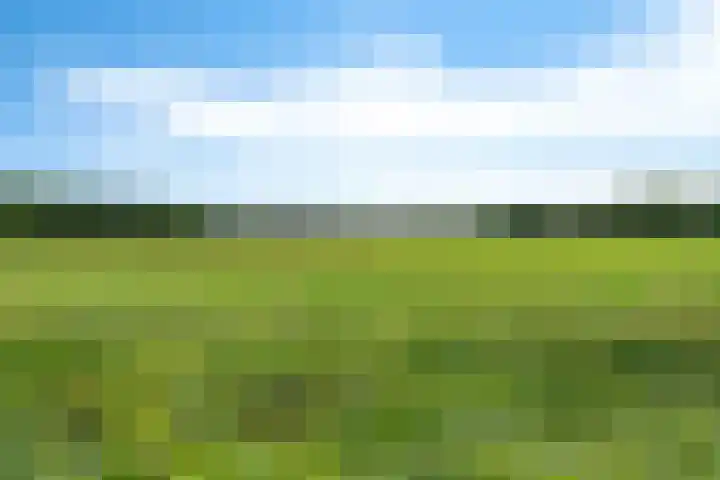 Kruisstraat 15 Zweeloo thumbnail 52