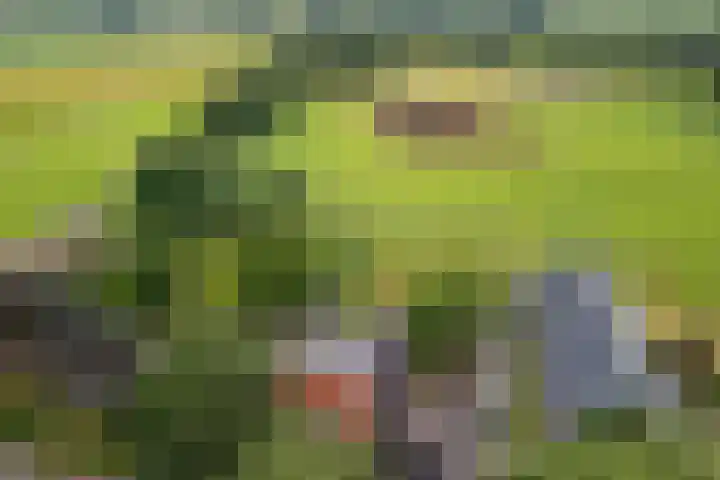 Kruisstraat 15 Zweeloo thumbnail 53