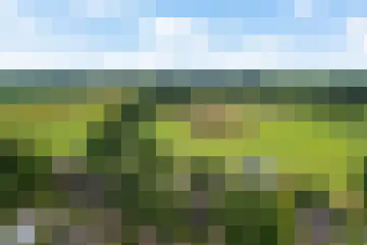 Kruisstraat 15 Zweeloo thumbnail 54