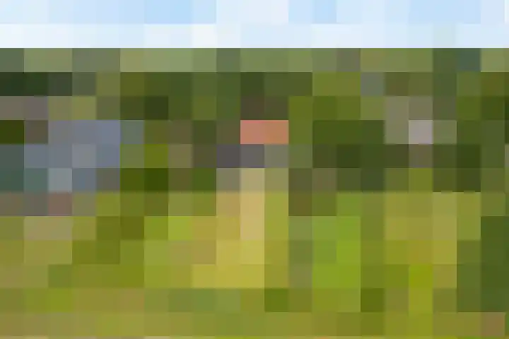 Kruisstraat 15 Zweeloo thumbnail 55