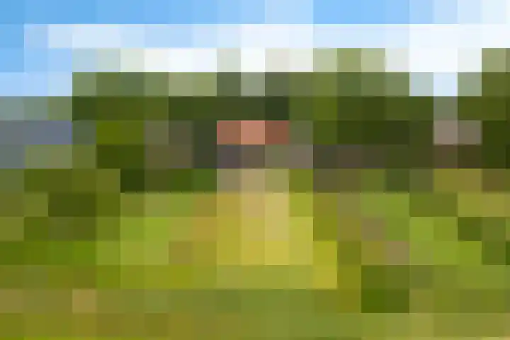 Kruisstraat 15 Zweeloo thumbnail 56