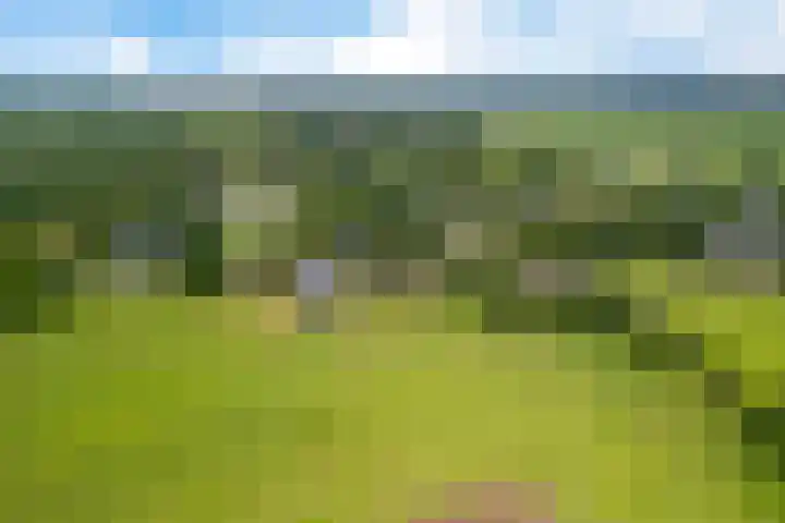 Kruisstraat 15 Zweeloo thumbnail 57