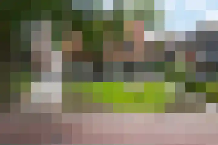 Kruisstraat 15 Zweeloo thumbnail 58