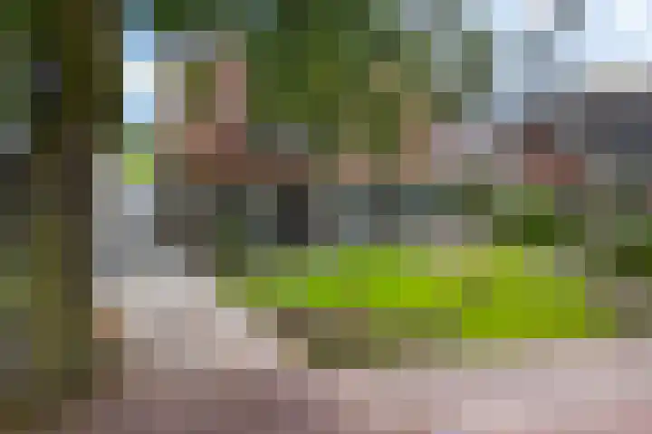 Kruisstraat 15 Zweeloo thumbnail 59