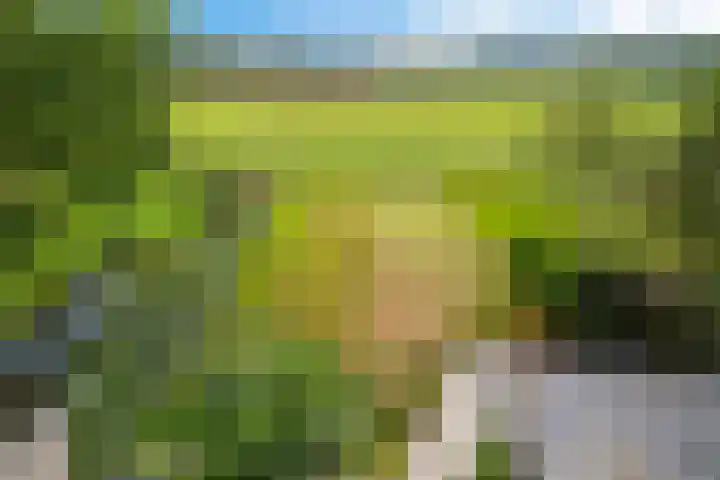 Kruisstraat 15 Zweeloo thumbnail 60