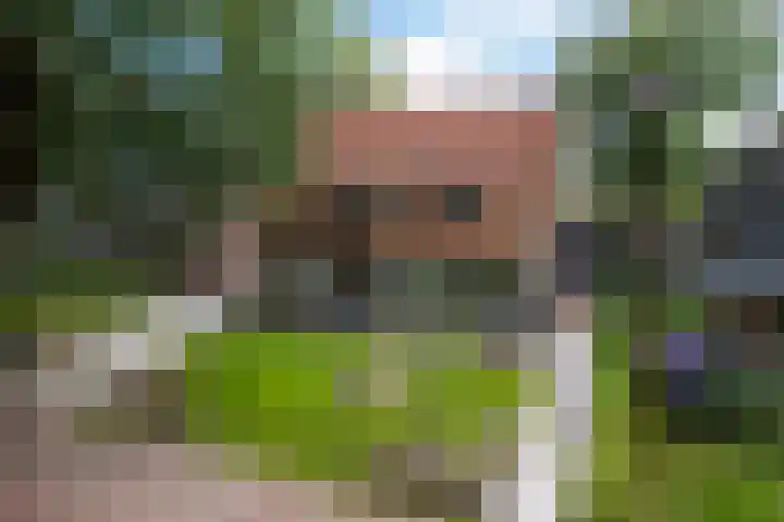 Kruisstraat 15 Zweeloo thumbnail 62