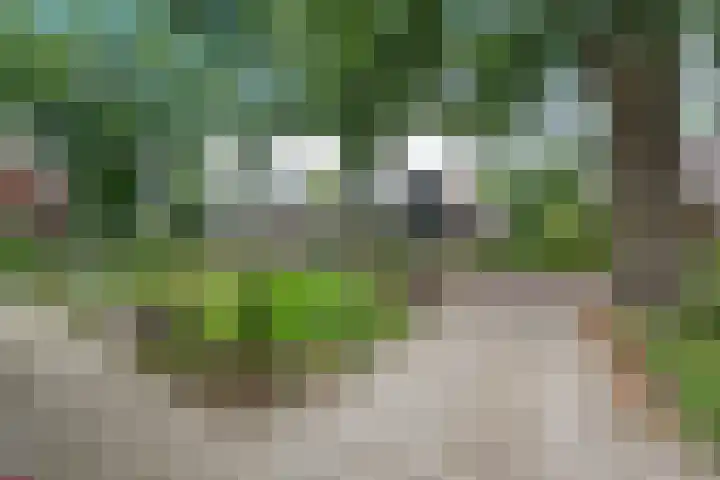 Kruisstraat 15 Zweeloo thumbnail 65