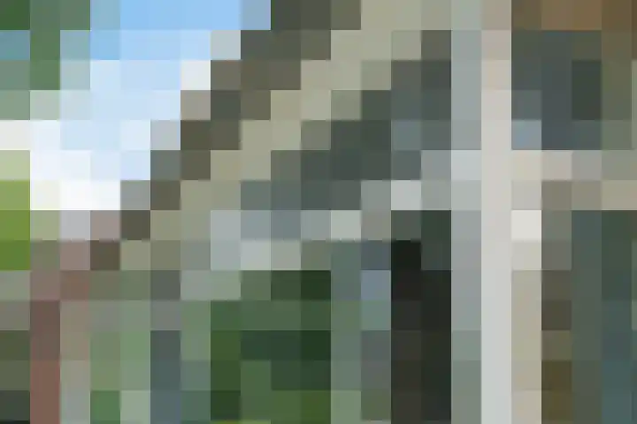 Kruisstraat 15 Zweeloo thumbnail 7
