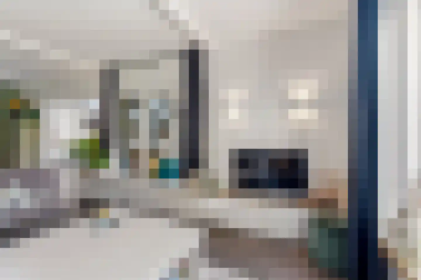 Kruisstraat 16 Dieren thumbnail 10