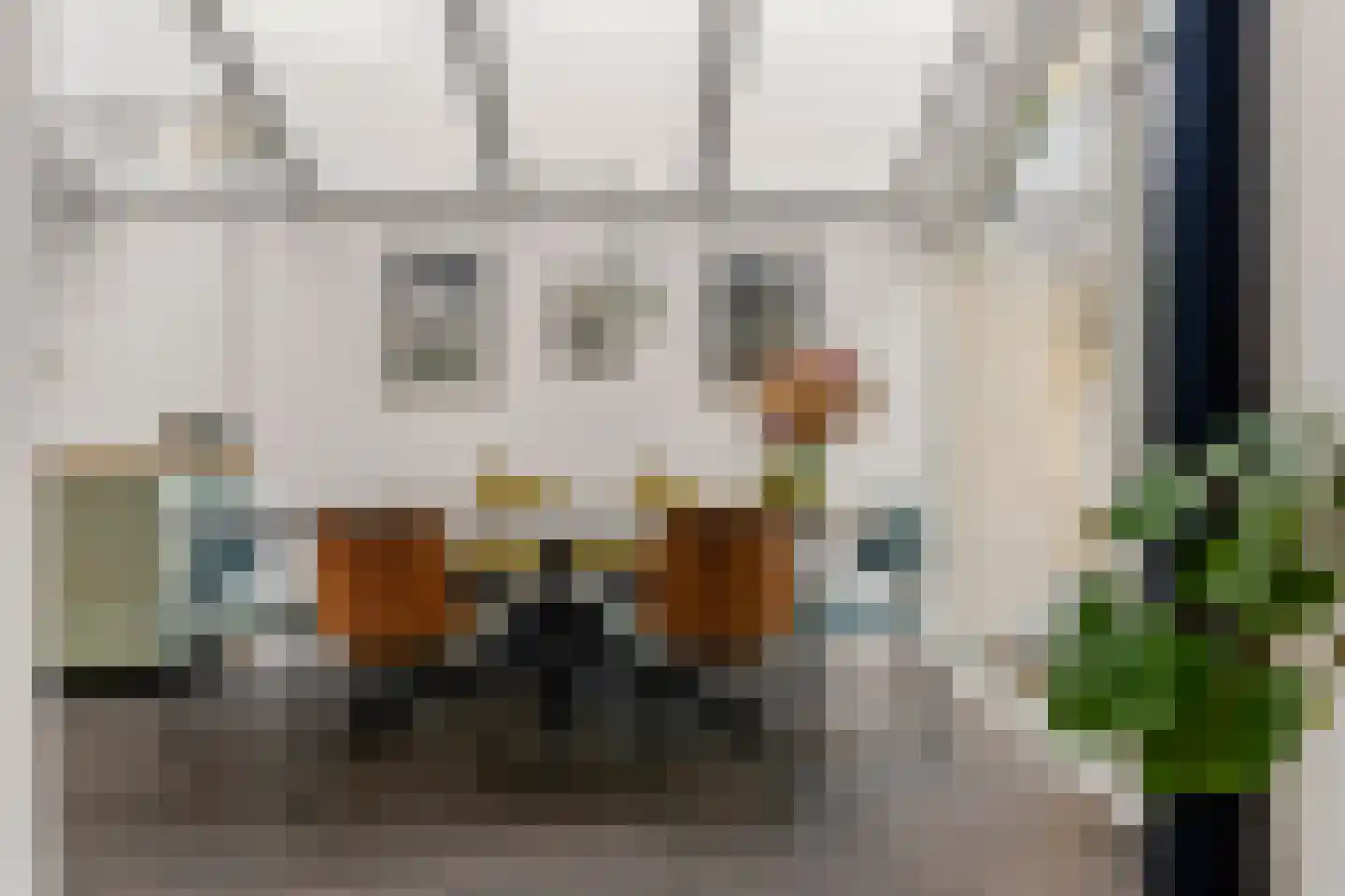 Kruisstraat 16 Dieren thumbnail 12