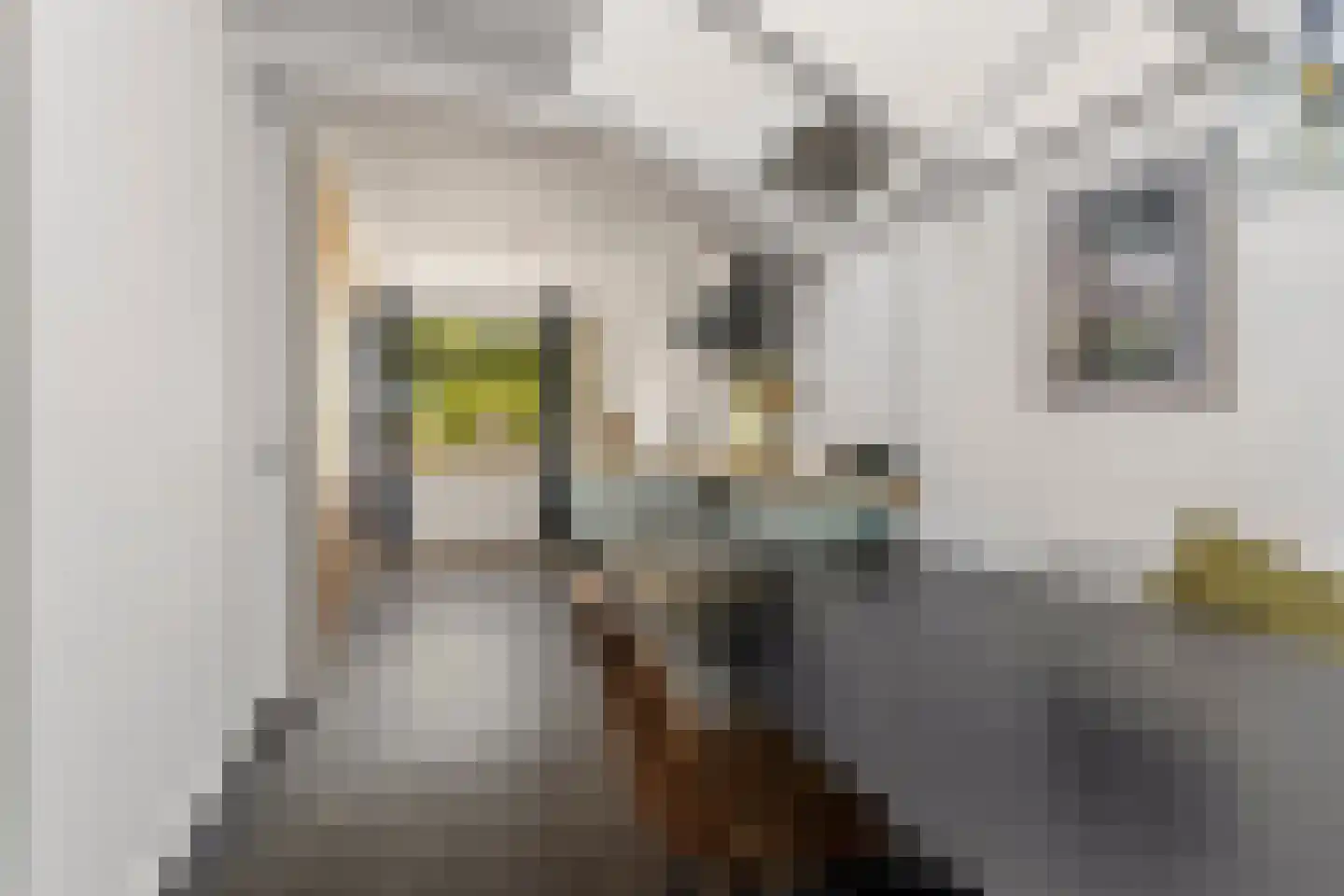 Kruisstraat 16 Dieren thumbnail 13