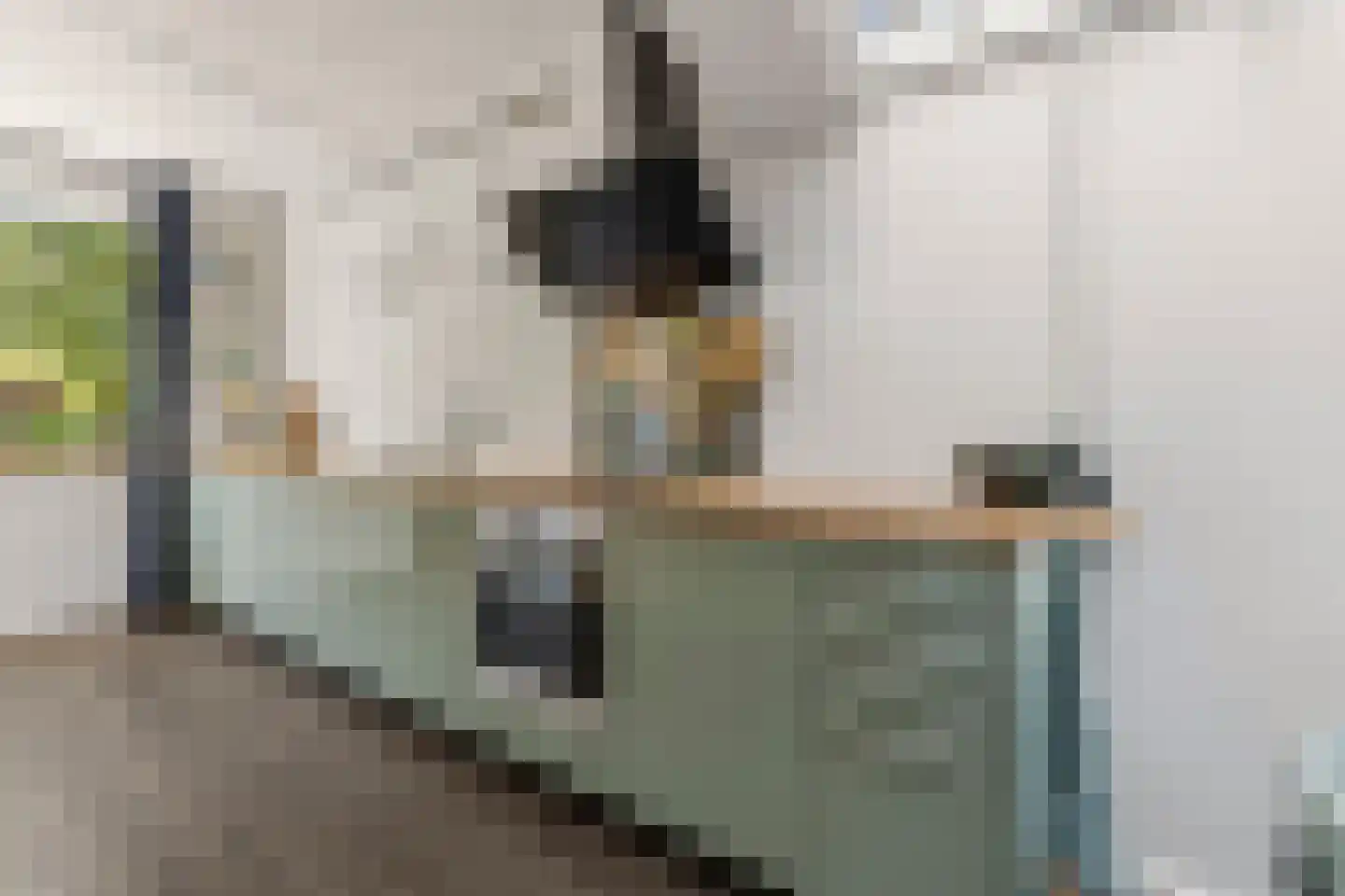 Kruisstraat 16 Dieren thumbnail 14