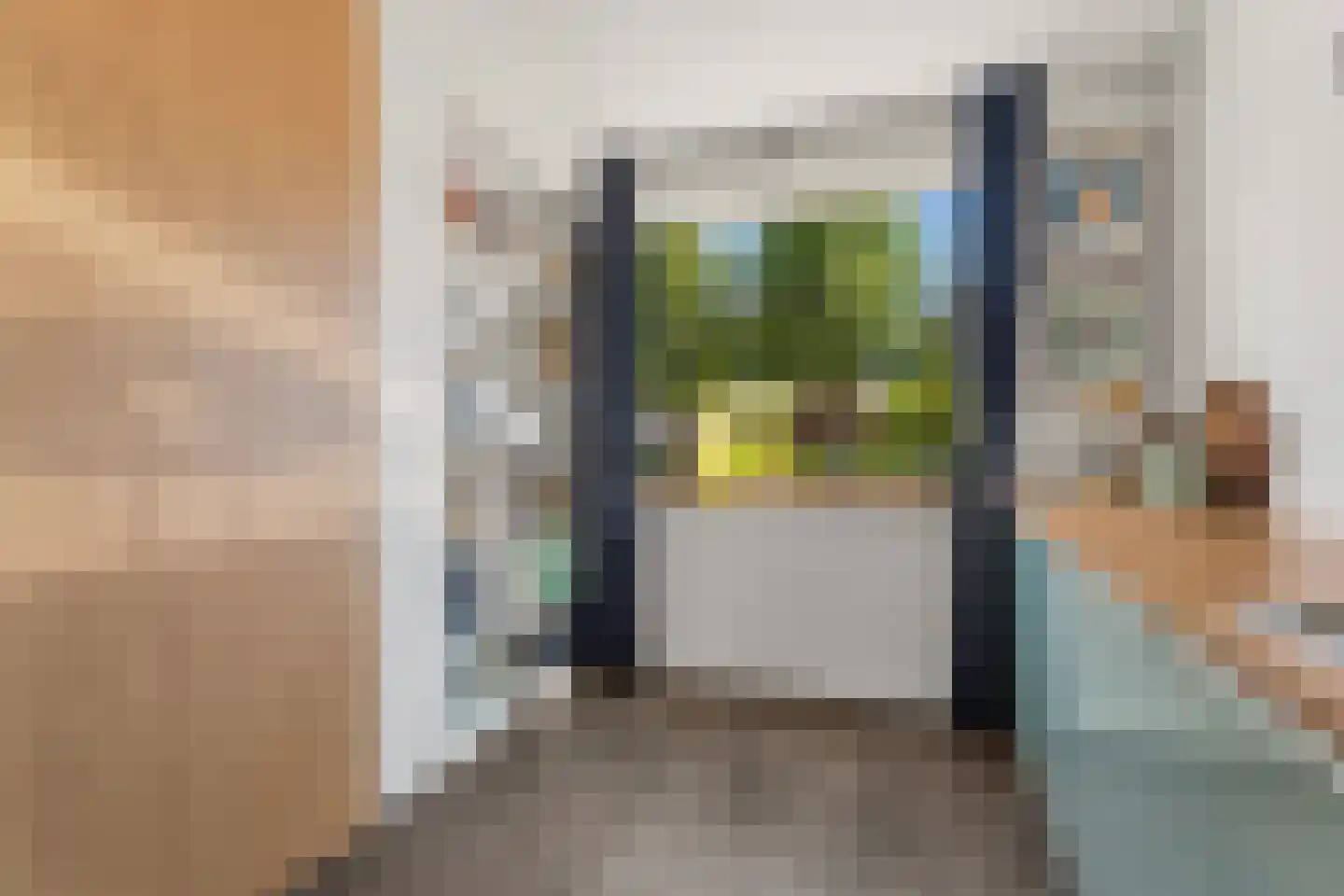 Kruisstraat 16 Dieren thumbnail 15