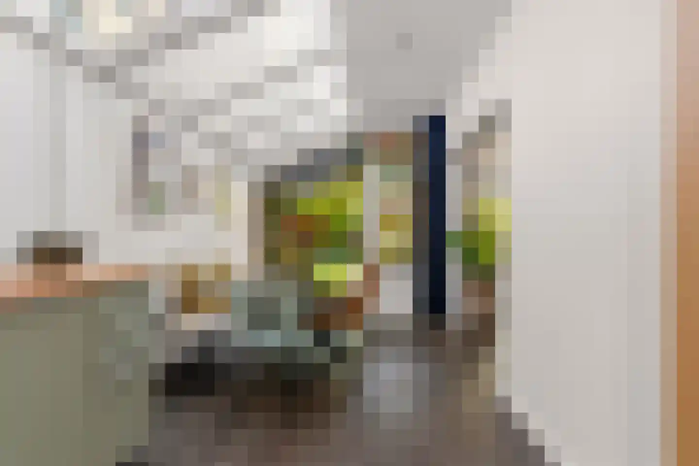 Kruisstraat 16 Dieren thumbnail 16