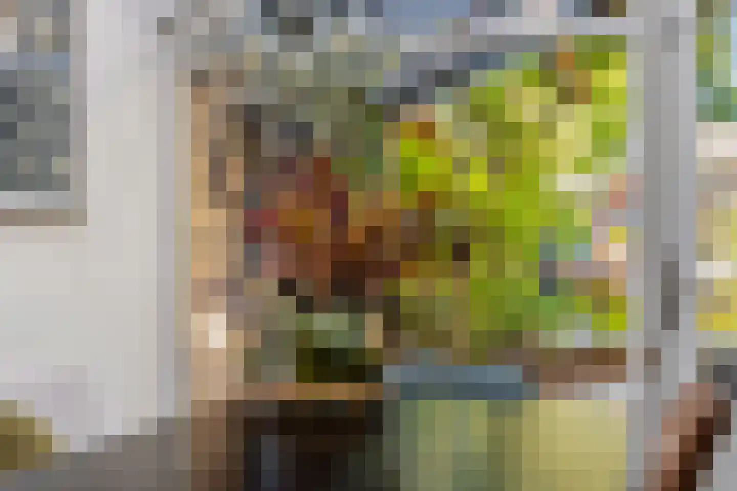 Kruisstraat 16 Dieren thumbnail 17
