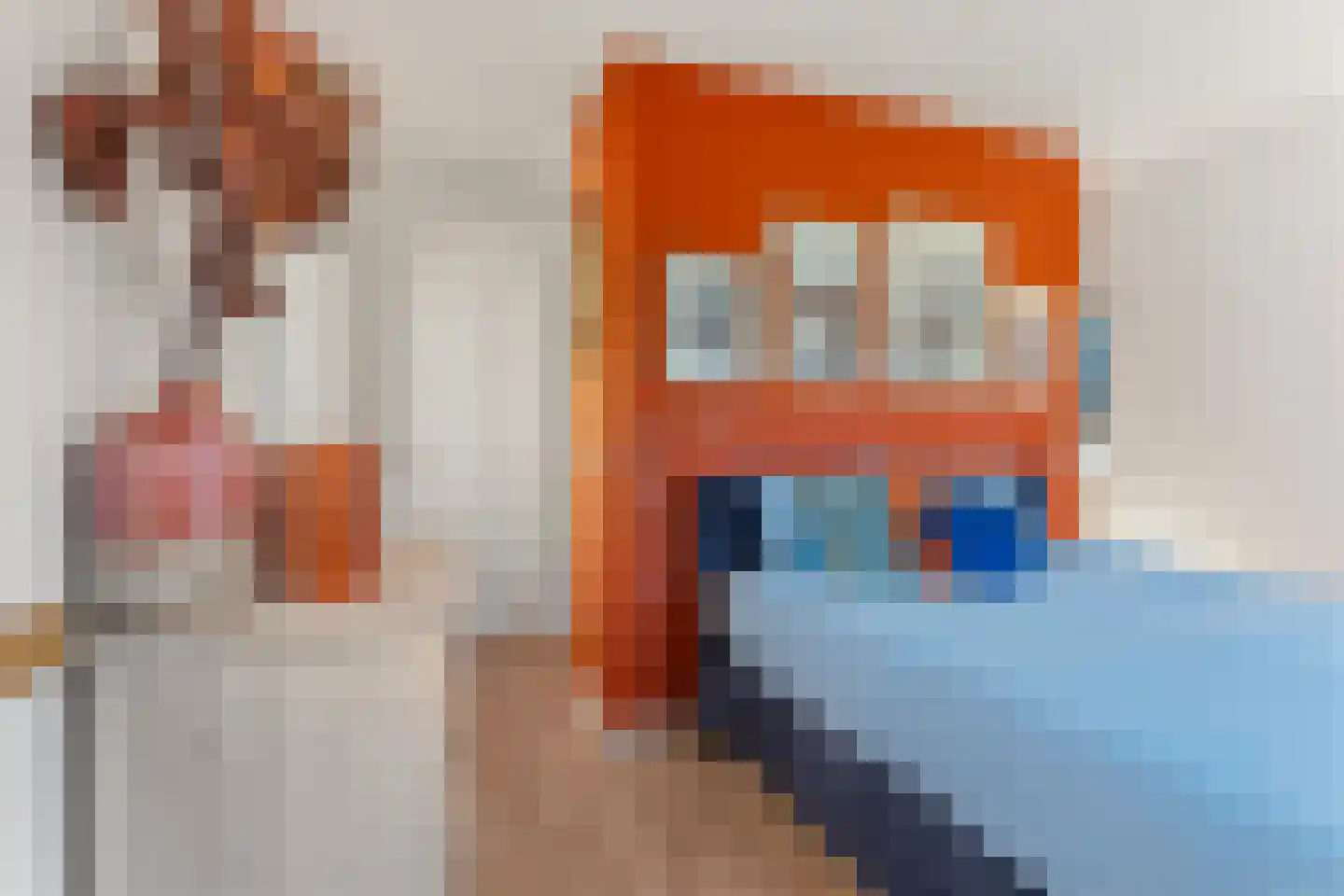 Kruisstraat 16 Dieren thumbnail 22