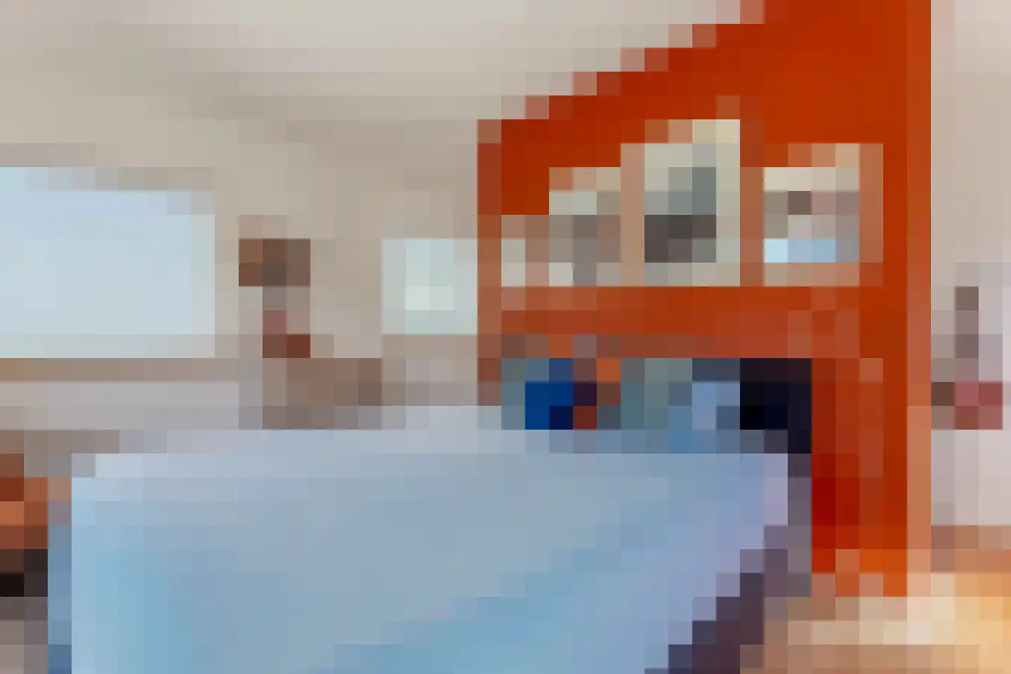 Kruisstraat 16 Dieren thumbnail 23