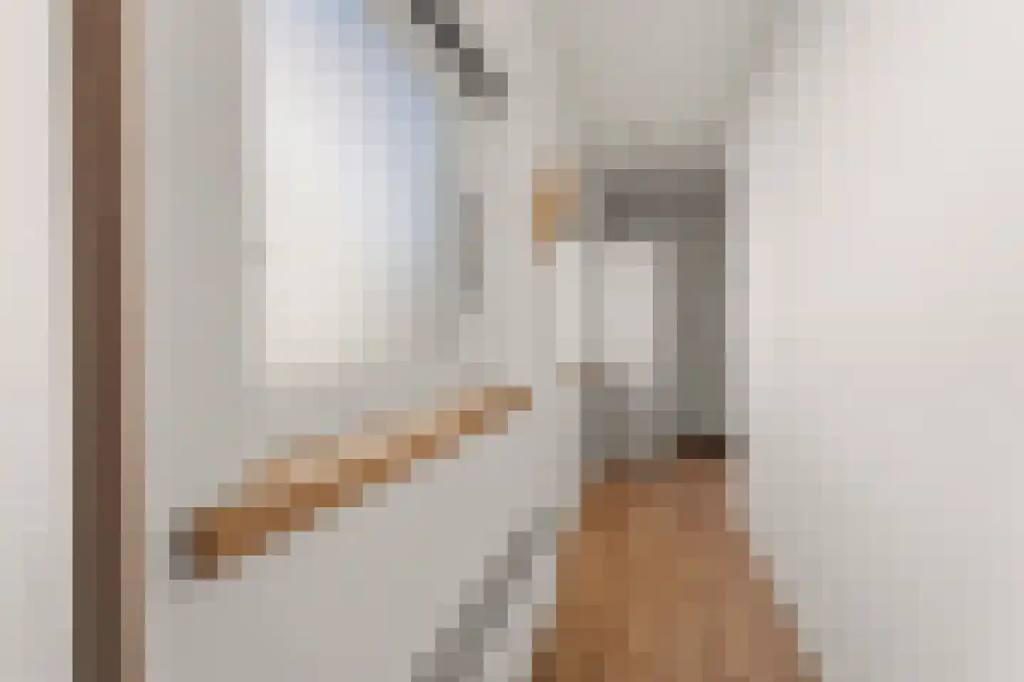 Kruisstraat 16 Dieren thumbnail 24
