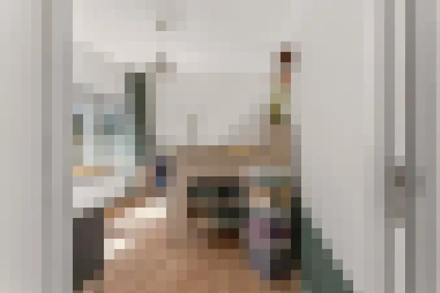 Kruisstraat 16 Dieren thumbnail 25