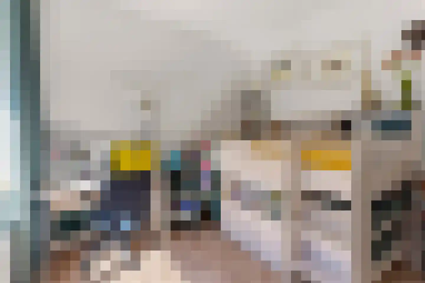 Kruisstraat 16 Dieren thumbnail 26