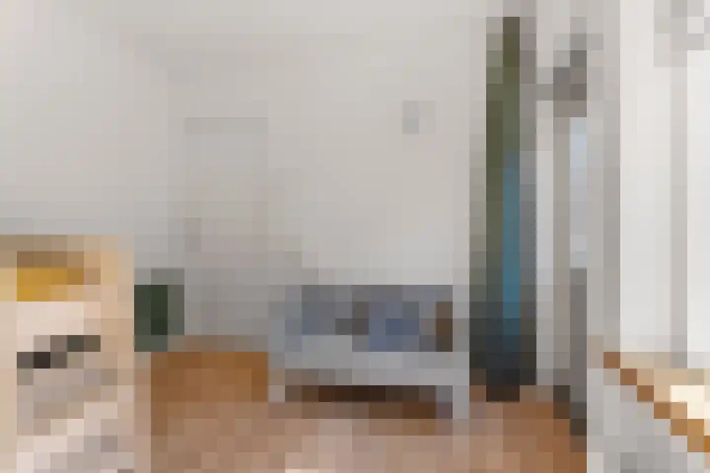 Kruisstraat 16 Dieren thumbnail 27