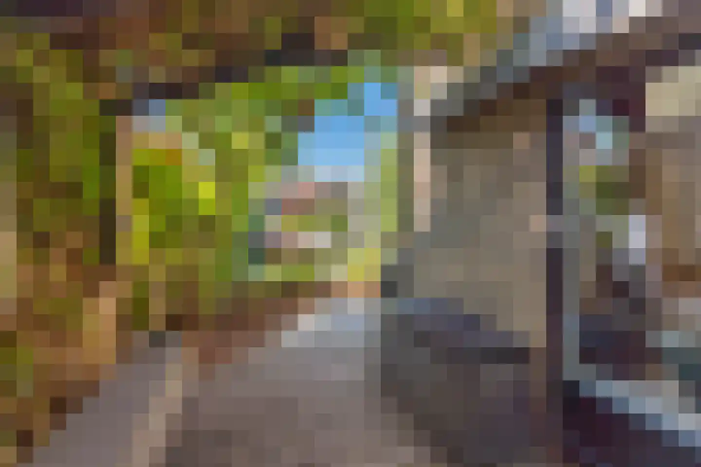 Kruisstraat 16 Dieren thumbnail 37