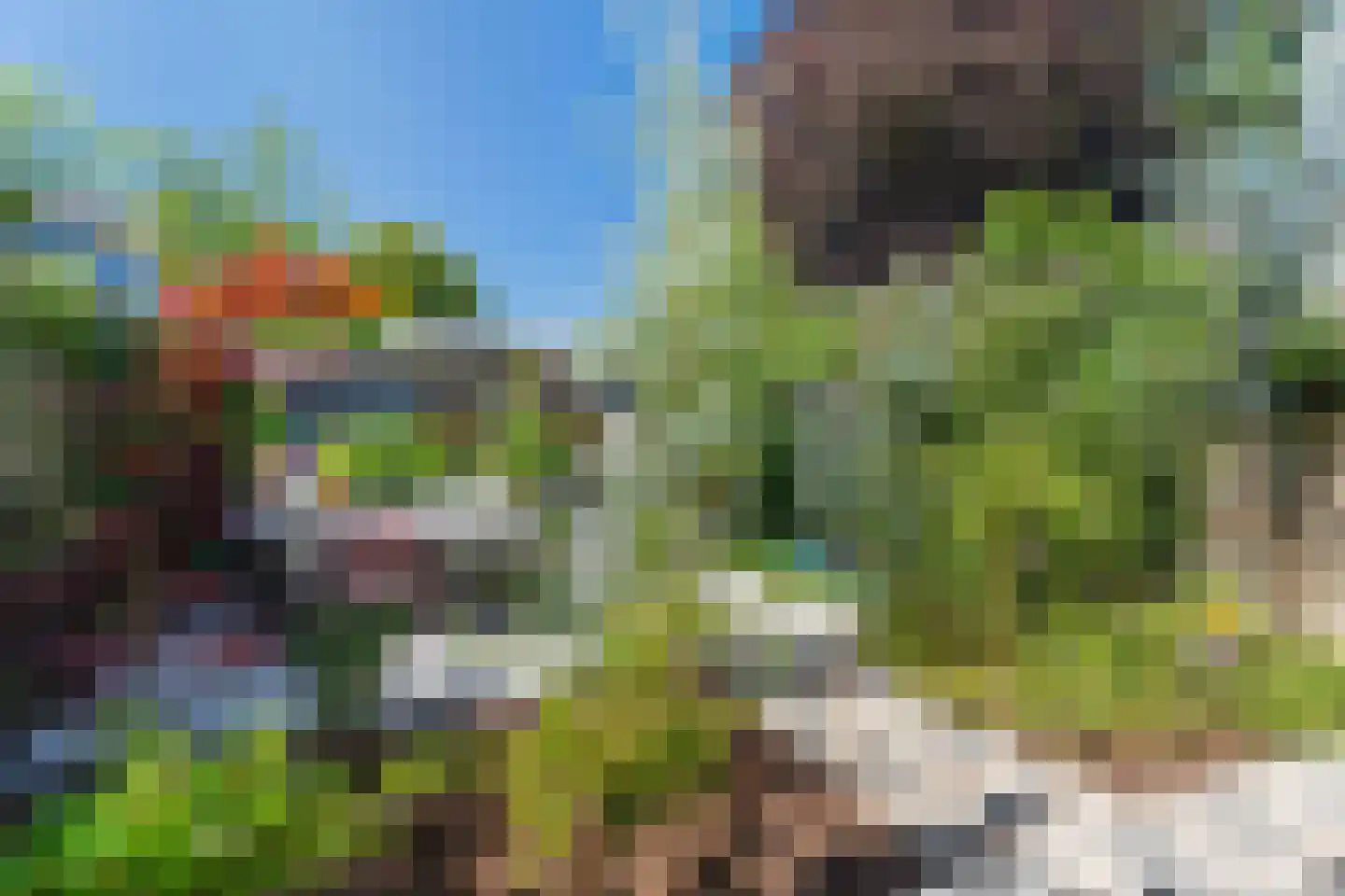 Kruisstraat 16 Dieren thumbnail 38