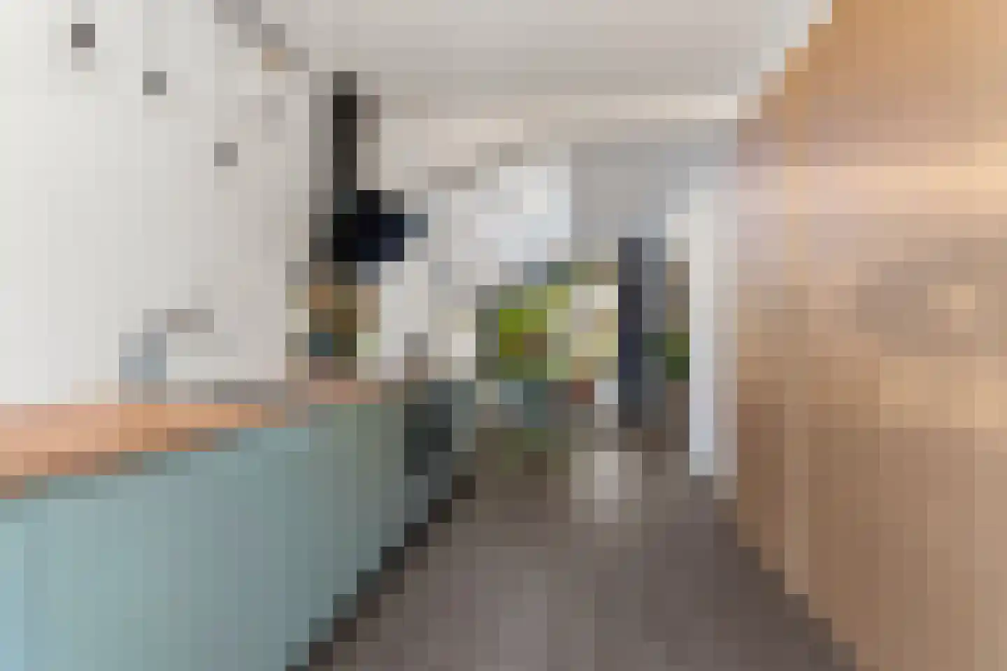 Kruisstraat 16 Dieren thumbnail 4