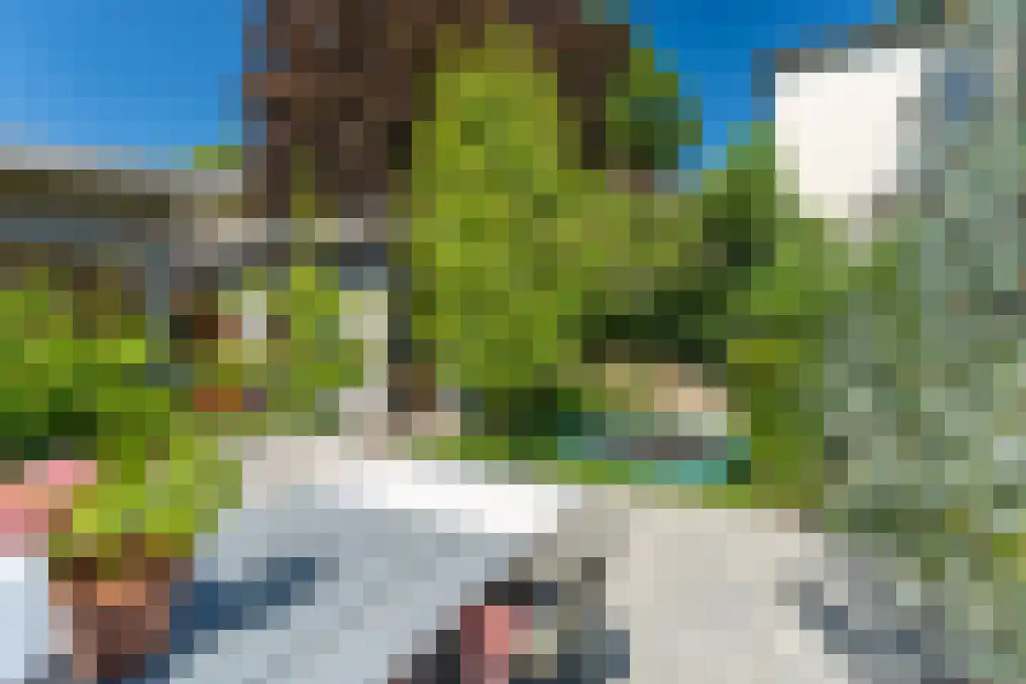 Kruisstraat 16 Dieren thumbnail 40