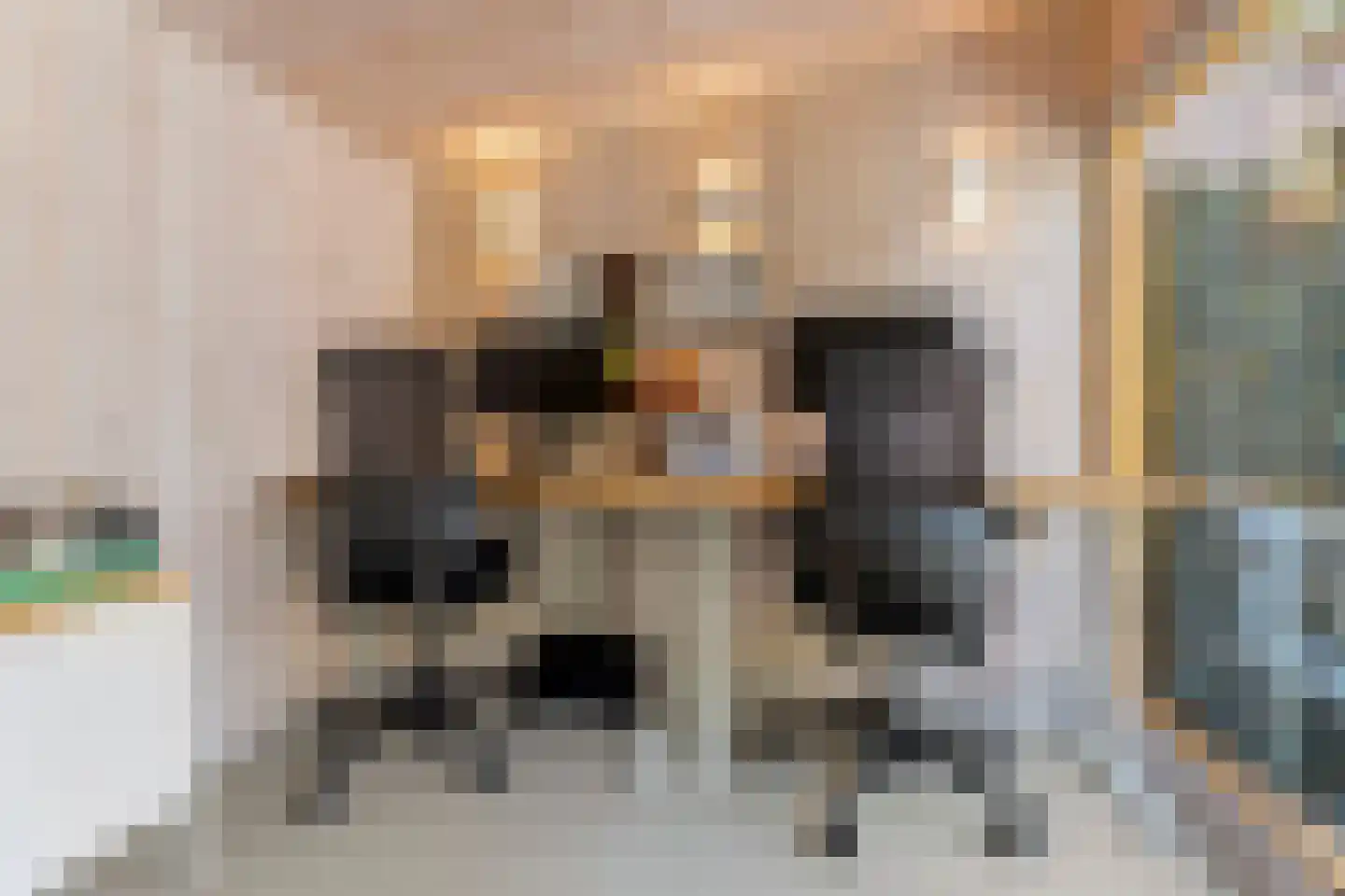 Kruisstraat 16 Dieren thumbnail 42