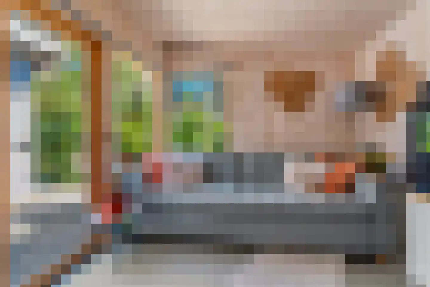 Kruisstraat 16 Dieren thumbnail 43