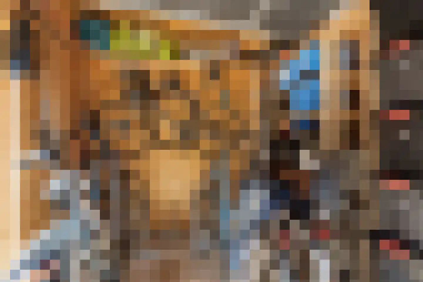 Kruisstraat 16 Dieren thumbnail 44