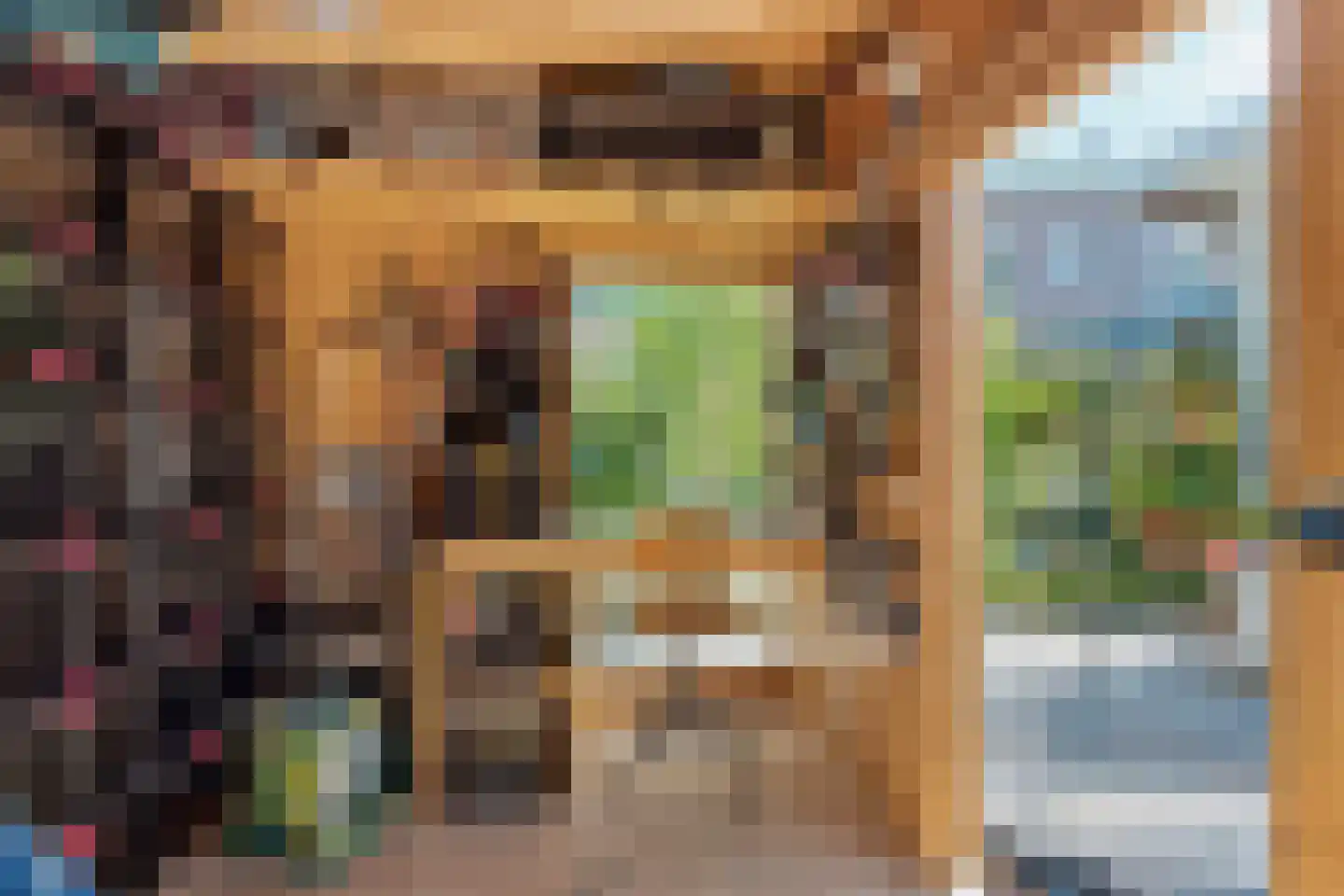 Kruisstraat 16 Dieren thumbnail 45