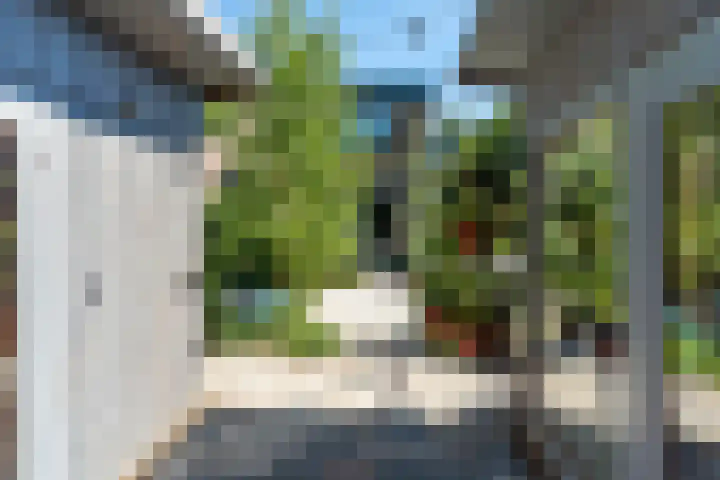 Kruisstraat 16 Dieren thumbnail 46