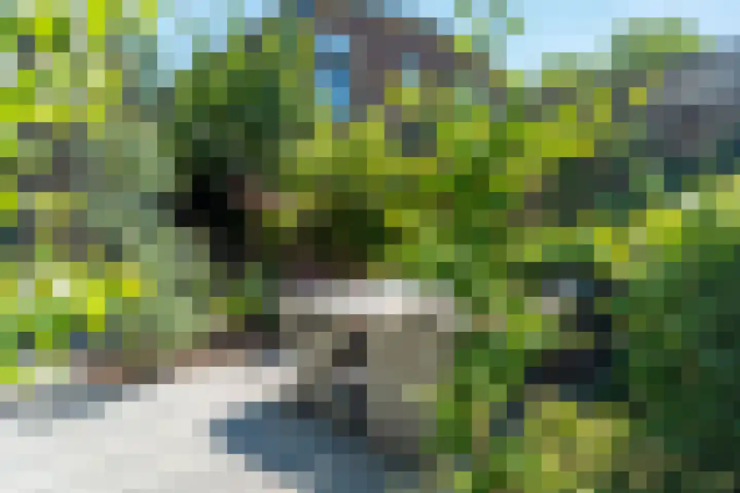 Kruisstraat 16 Dieren thumbnail 47