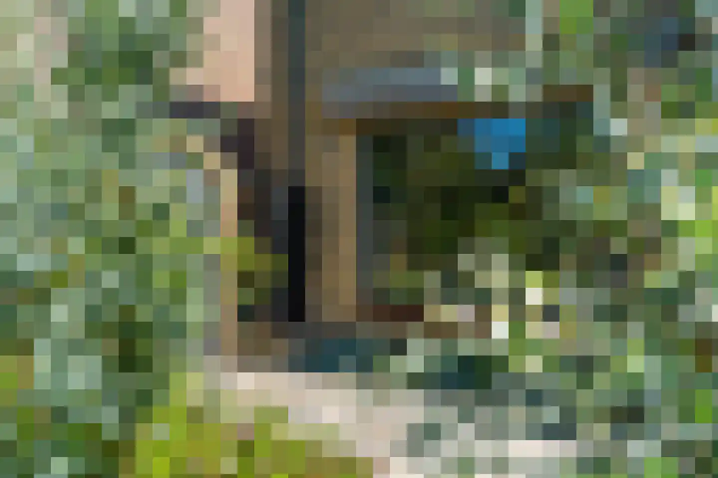 Kruisstraat 16 Dieren thumbnail 48