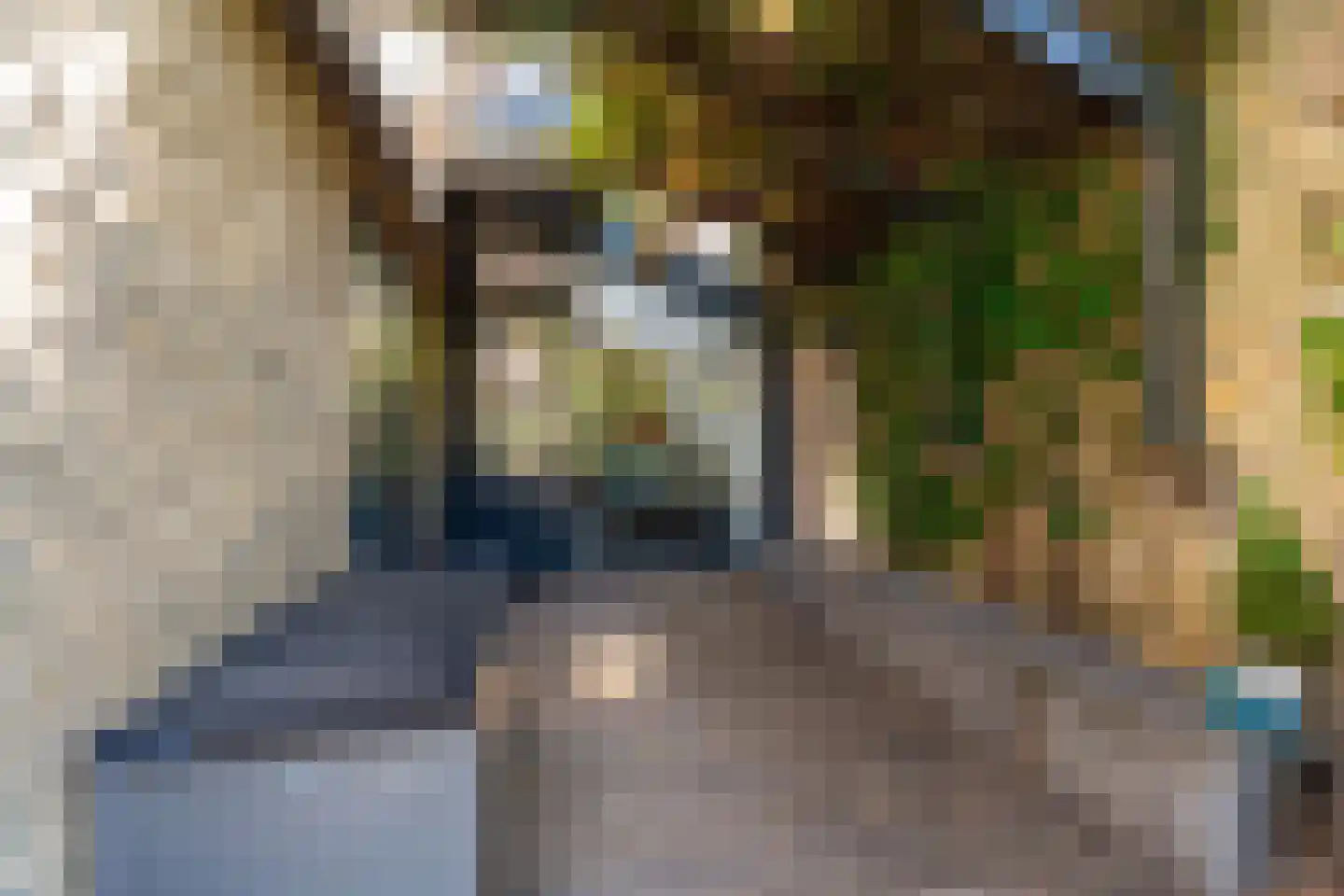 Kruisstraat 16 Dieren thumbnail 49