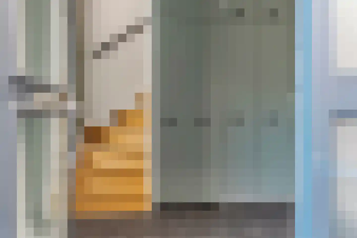 Kruisstraat 16 Dieren thumbnail 5