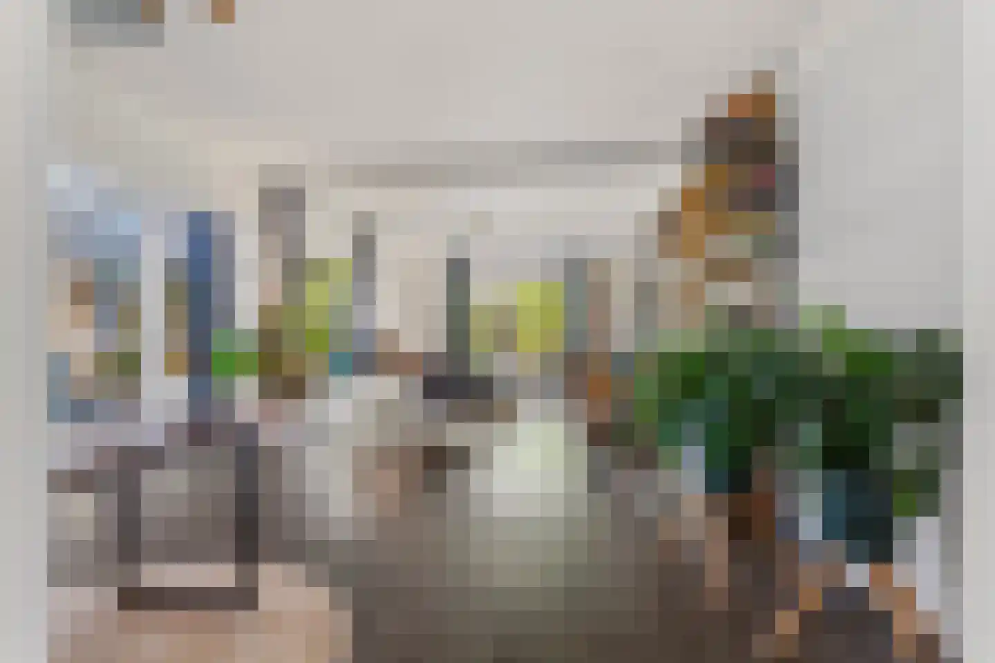 Kruisstraat 16 Dieren thumbnail 6