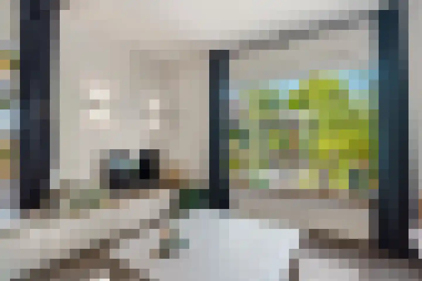 Kruisstraat 16 Dieren thumbnail 9