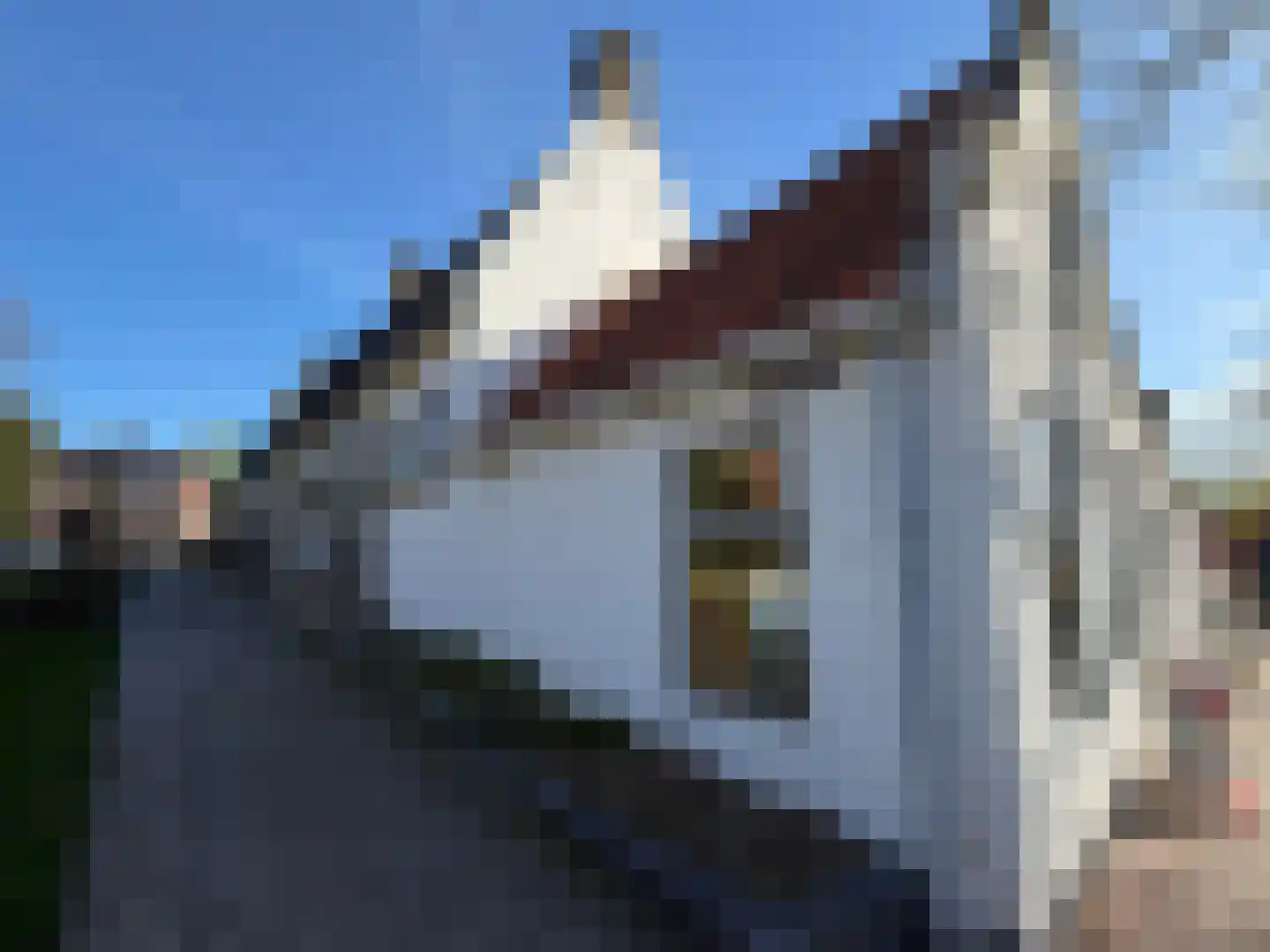 Kruisstraat 16 Medemblik thumbnail 23
