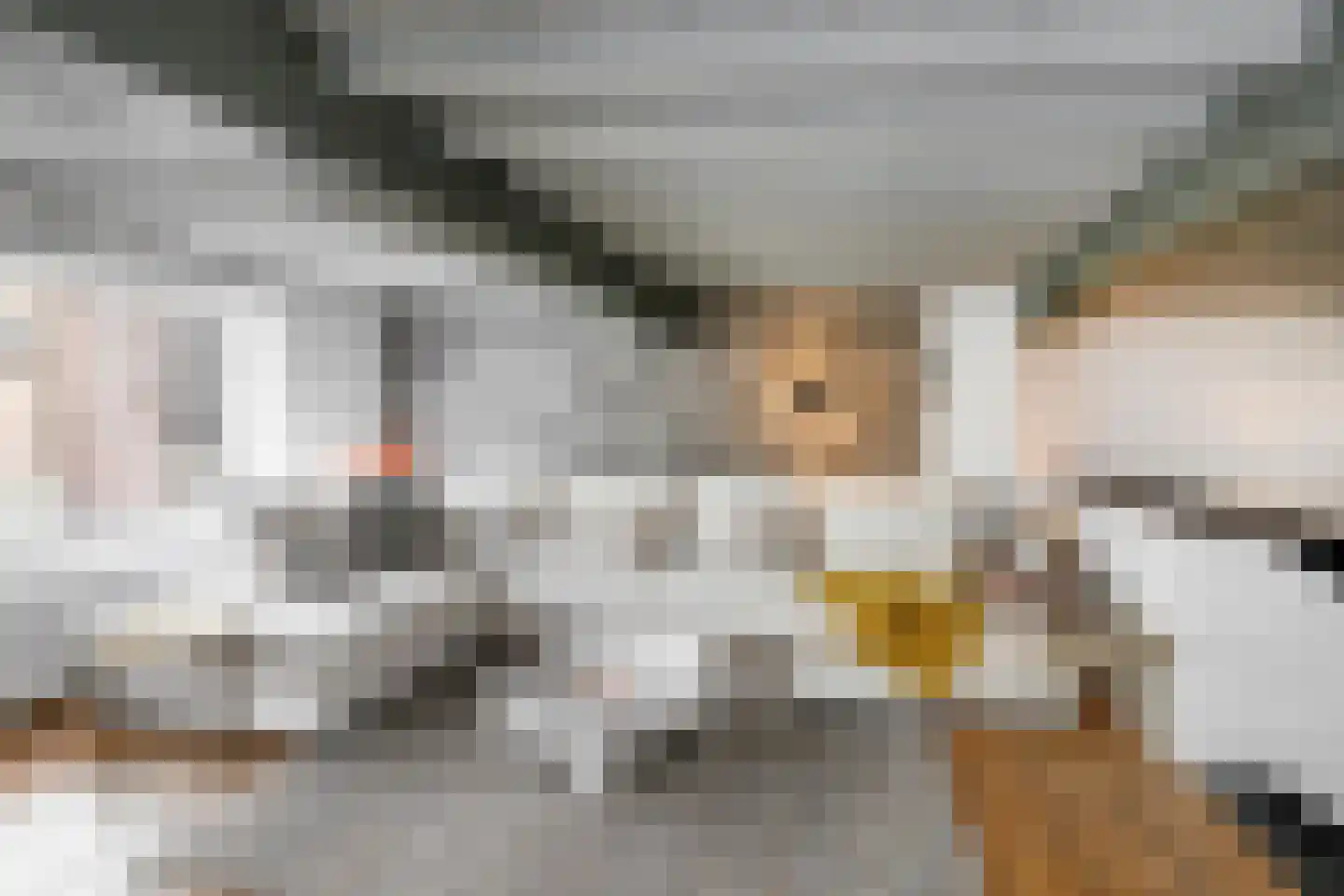 Kruisstraat 16 's-Hertogenbosch thumbnail 12