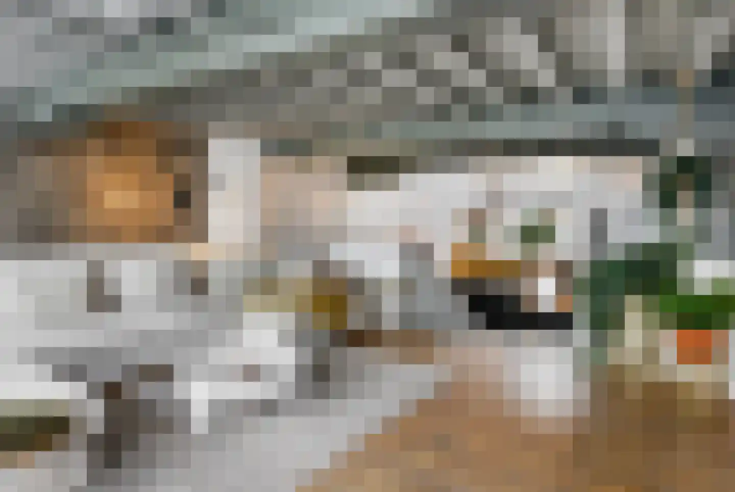 Kruisstraat 16 's-Hertogenbosch thumbnail 14