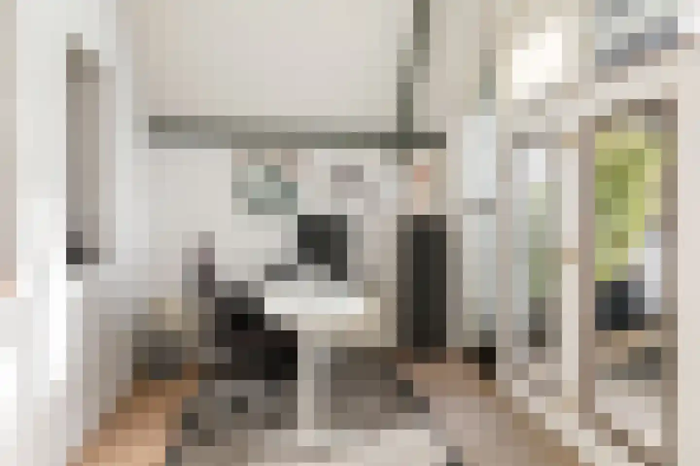 Kruisstraat 16 's-Hertogenbosch thumbnail 22