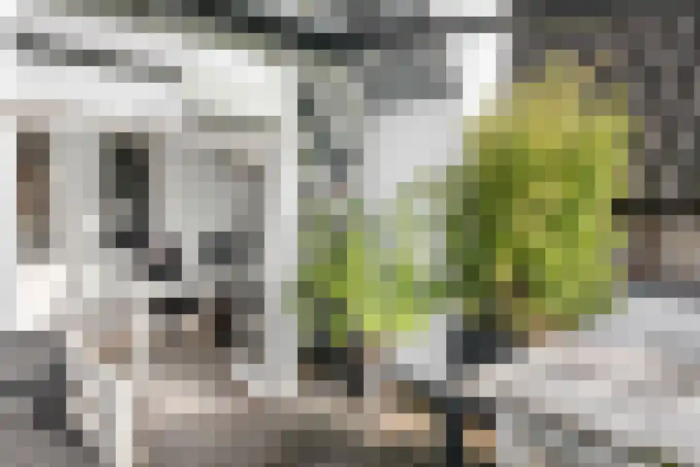 Kruisstraat 16 's-Hertogenbosch thumbnail 24